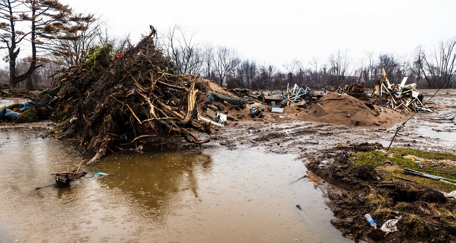 art-of-sandy-mo-staten island 2-28.jpg